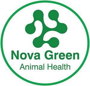 Nova Green