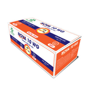 Thuốc diệt ruồi Nova hộp 50 gói