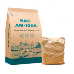 bac-ad-1006-vi-sinh-xử-lý-amoni