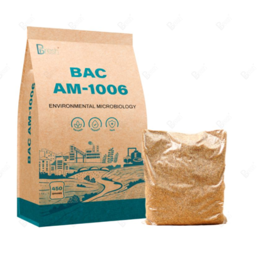 bac-ad-1006-vi-sinh-xử-lý-amoni