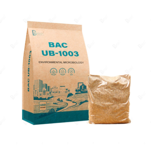 bac-ub-1003-vi-sinh-xử-lý-hiếu-khí