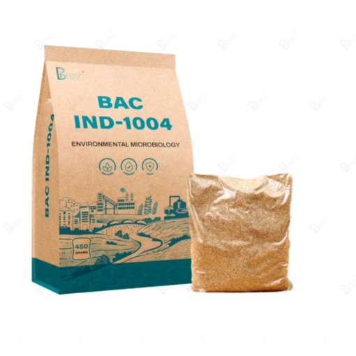 bac-ind-1004-vi-sinh-xử-lý-hiếu-khí
